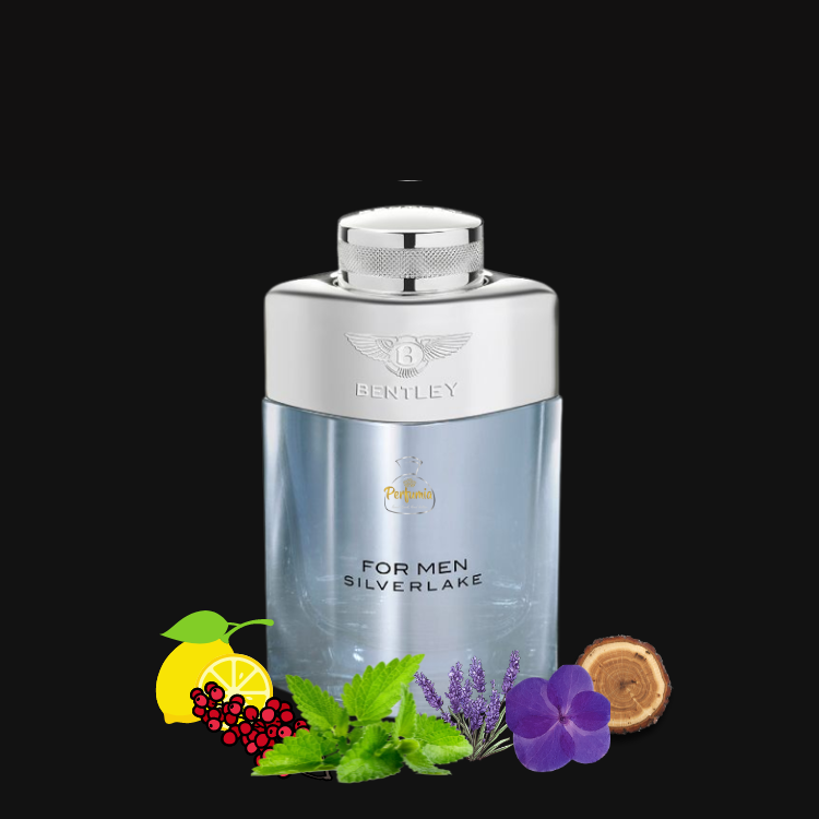  Bentley For Men Silverlake 100ml Eau De Parfum